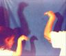 shadow puppets from Stage Hand Puppets